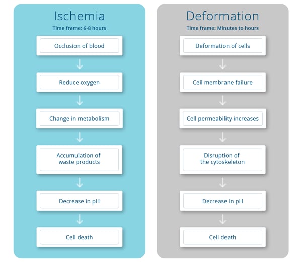 Ischemia and Deformation