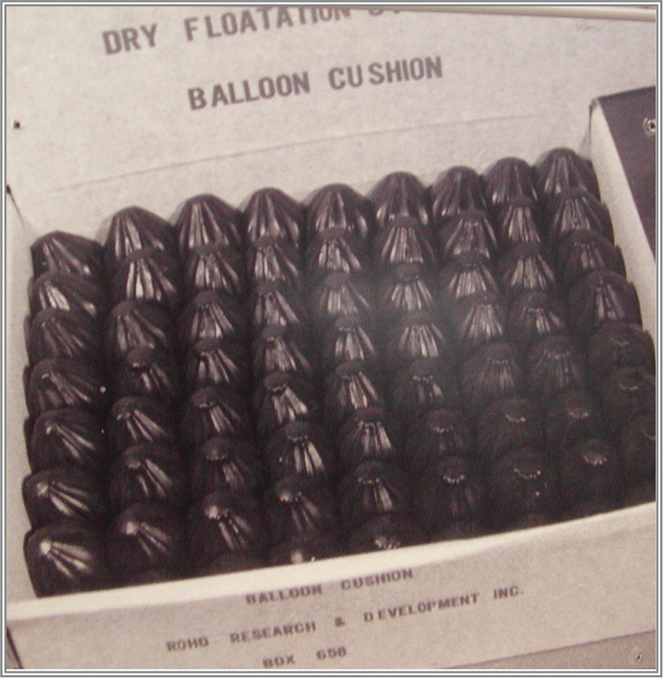 History of ROHO®