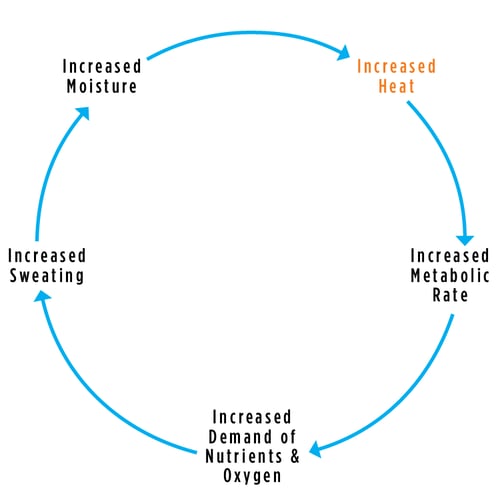 MicroClimate-Diagram.png