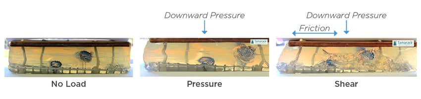 Pressure and Shear