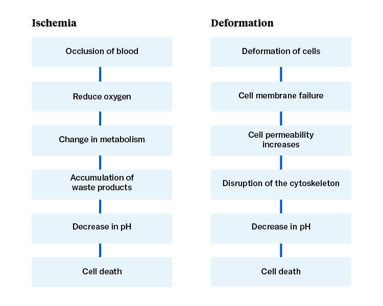 Ischemia vs Deformation