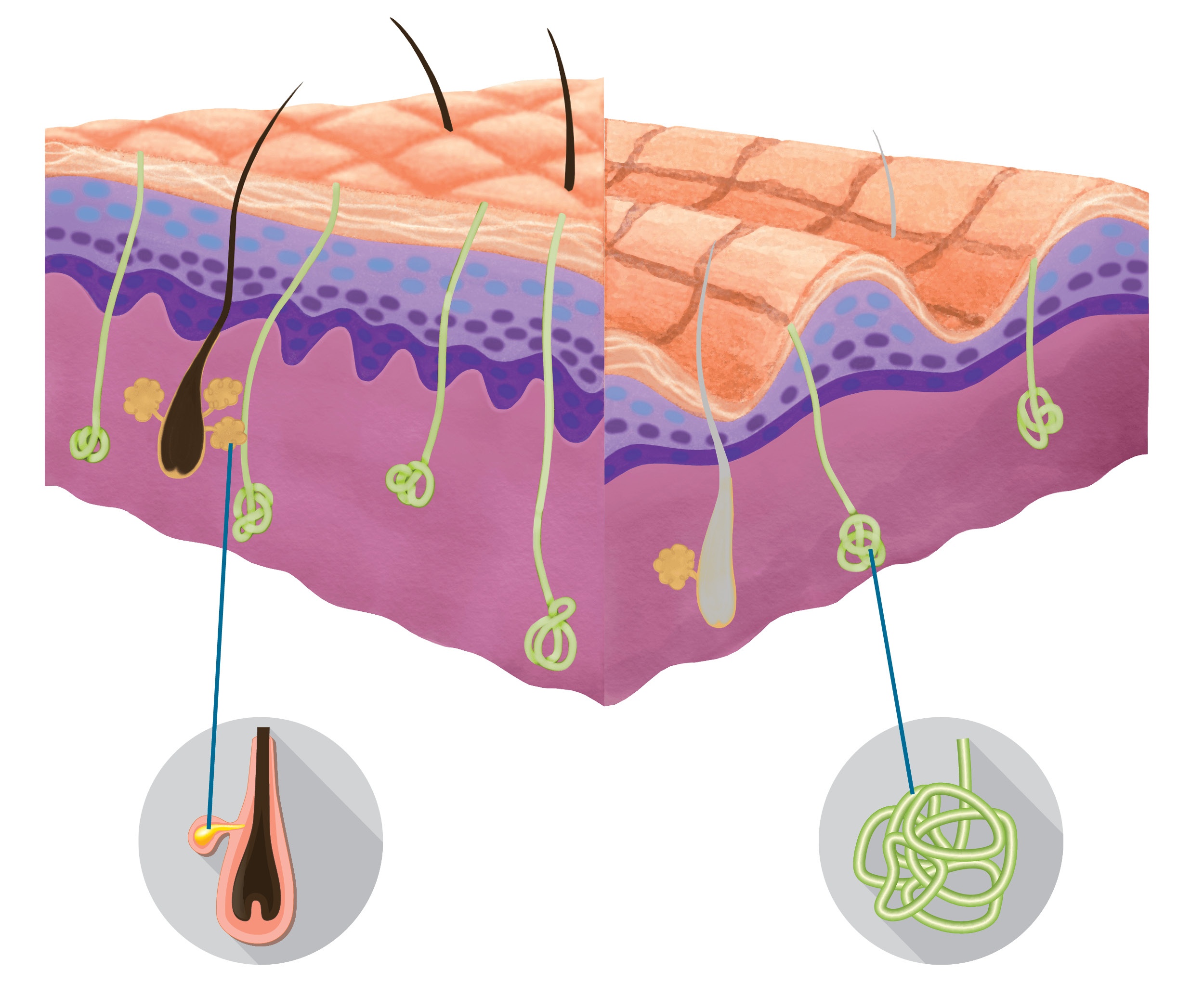 Wound Care Guide