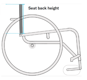 seat back height