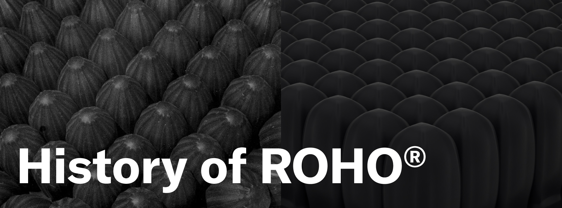 History of ROHO